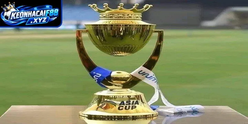 Tổng quan lịch thi đấu các trận bóng đá Asian Cup đối với người hâm mộ