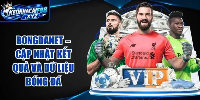 BongdaNET – Cập Nhật Kết Quả Và Dữ Liệu Bóng Đá