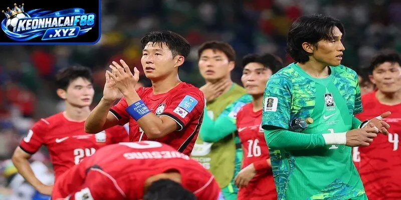 Giới thiệu chung về kèo bóng đá Hàn Quốc
