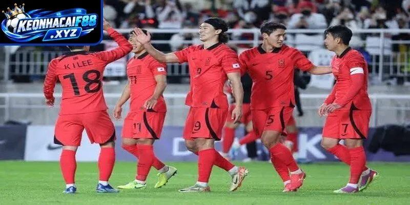 Phân tích kết quả bóng đá Asian Cup đội bóng Hàn Quốc