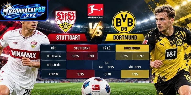 Tỷ lệ kèo Stuttgart vs Dortmund