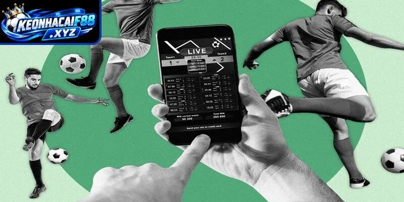 Bỏ túi mẹo soi tỷ lệ kèo bóng đá Hà Lan chuẩn và hiệu quả nhất