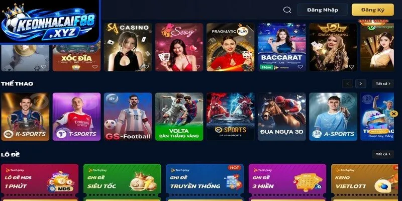 Nhà cái trả thưởng cho bet thủ tỷ lệ cực cao